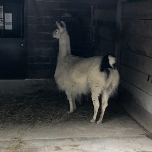 Meet your Posher, Ben